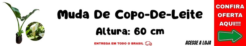 muda de copo de leite branco