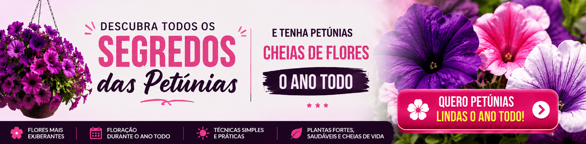 como cultivar petúnias