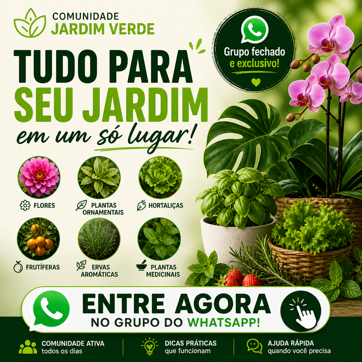 grupo jardim verde no whatsapp