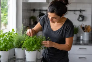 Mulher cuidando de uma horta de temperos em vasos sobre a bancada da cozinha, com manjericão, alecrim e salsinha próximos a uma janela bem iluminada.