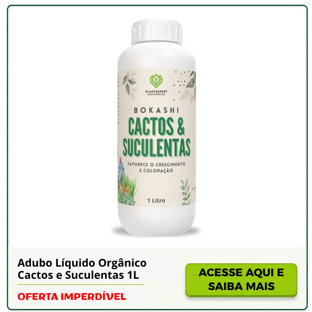 adubo orgânico para cactos e suculentas