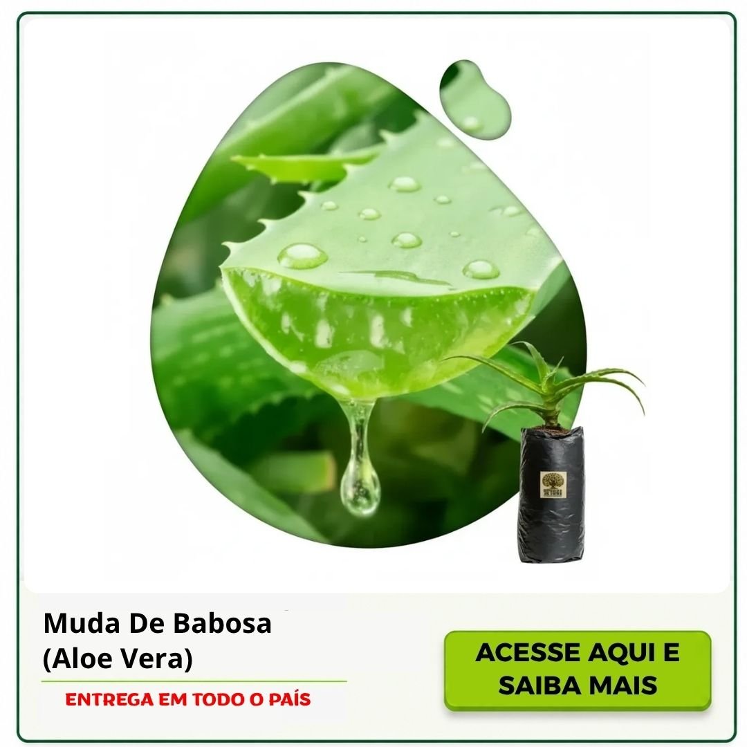 muda de babosa 